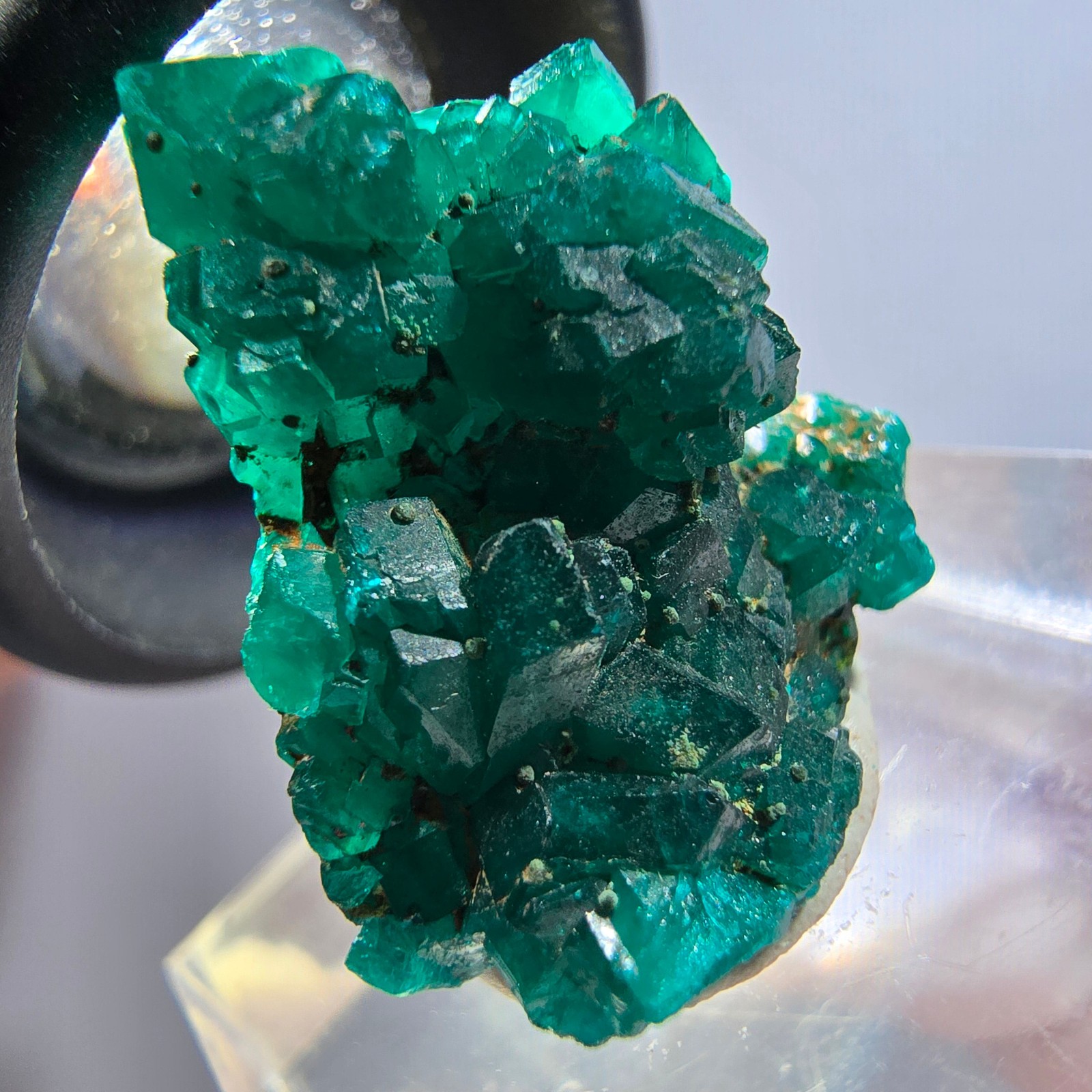 Rare Dioptase XX stage, green, Republic of Congo, 22*19*11mm