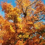 sortingtheloft