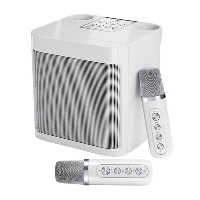 Karaoke Machine for Adults and Kids, Portable Bluetooth Karaoke Speaker with ...