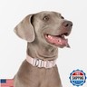 BuddyArmor Dog Collar Pro, Soft Lightweight Dog Collar with Metal Buckle Quick Release Heavy Duty Adjustable Nylon Dog Collar for Training Walking for Small Medium Large Dogs (Linen, M)