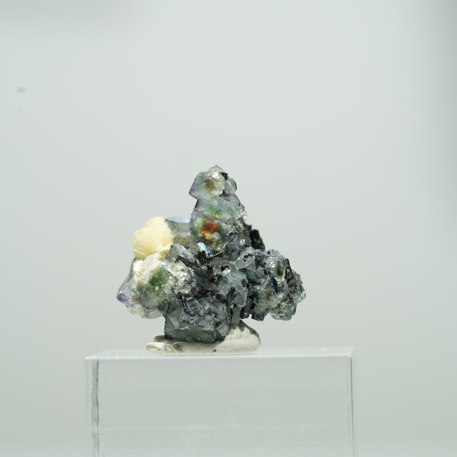 Cubes de fluorite fantôme colorée, tourmaline schorl, muscovite Erongo, Namibie