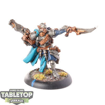 Retribution of Scyrah - Houseguard Thane - bemalt