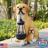 Garden Dog Statues Outdoor Decor, Solar Lights Outdoor Labrador Figurine Solar Dog Ornaments for Patio, Lawn, Yard Art Decoration, Housewarming Garden Gift