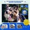 Wavevo 2 Pcs Tough ETPU Dog Balls for Aggressive Chewers - Bouncy, Interactive Floating Chew Toys for Fetch and Water Play with Medium Large Dogs
