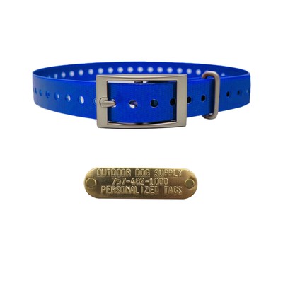 1'' Basic Dog Collar with Brass Name Plate