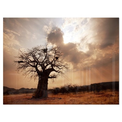 Large Baobab Tree under Clouds - Modern Landscape Glossy