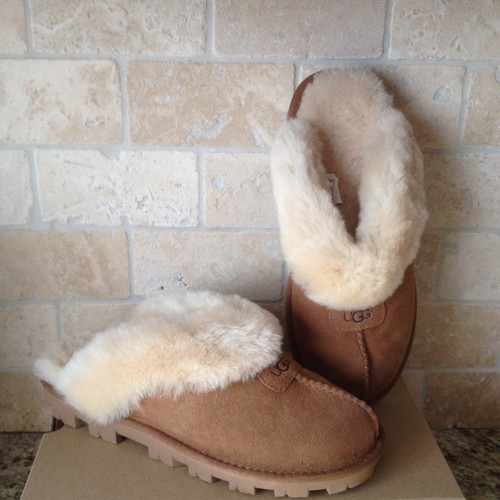 $_12.JPG?set_id=880000500F