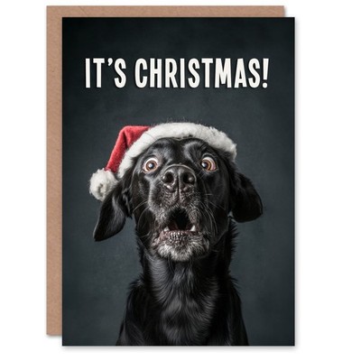 Christmas Card Black Labrador Photograph Dog in Santa Hat Funny