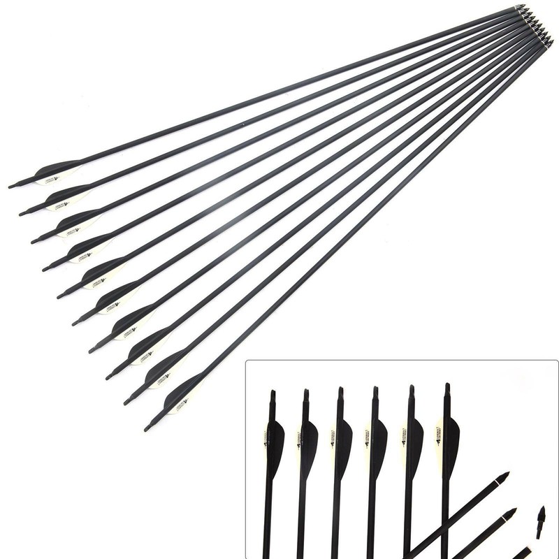 10tlg 30'' Fiberglas Carbon Pfeile Bogenschießen Pfeil Schraube Tipp Hunting