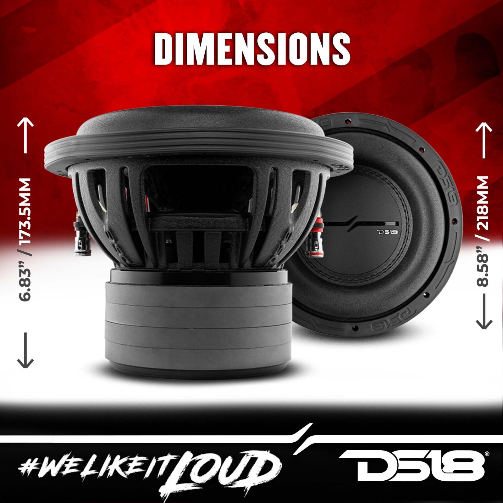 DS18 ZXI8.2D High Excursion 8