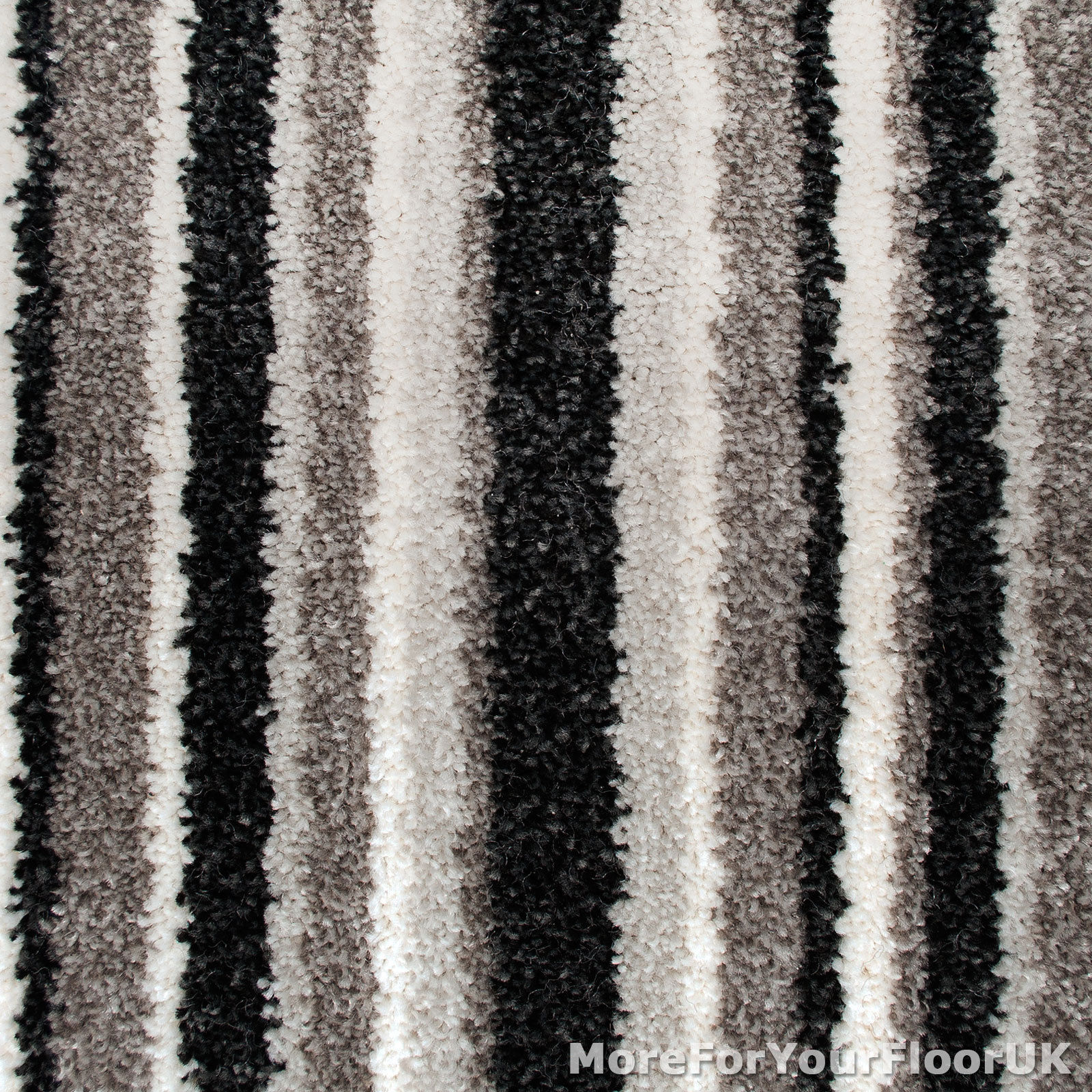 Modern Fitted Carpets and Underlays