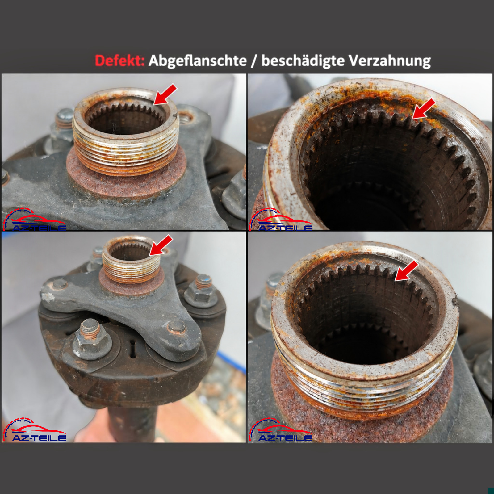 Artikelbild 3