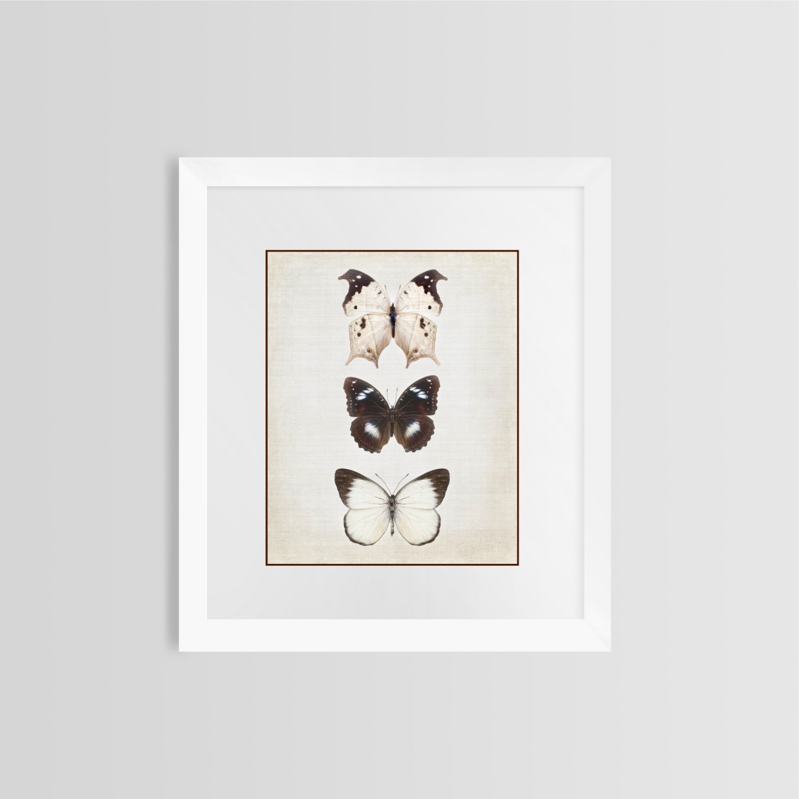 Print of Butterflies~Brown Butterfly Art Print~Bug Nature Print~Nursery Decor~Ze