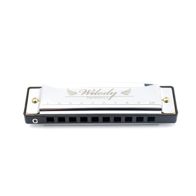 Harmonica 10 Holes 20 Tunes Diatonic Blues Harmonica Professional Deluxe Mout...