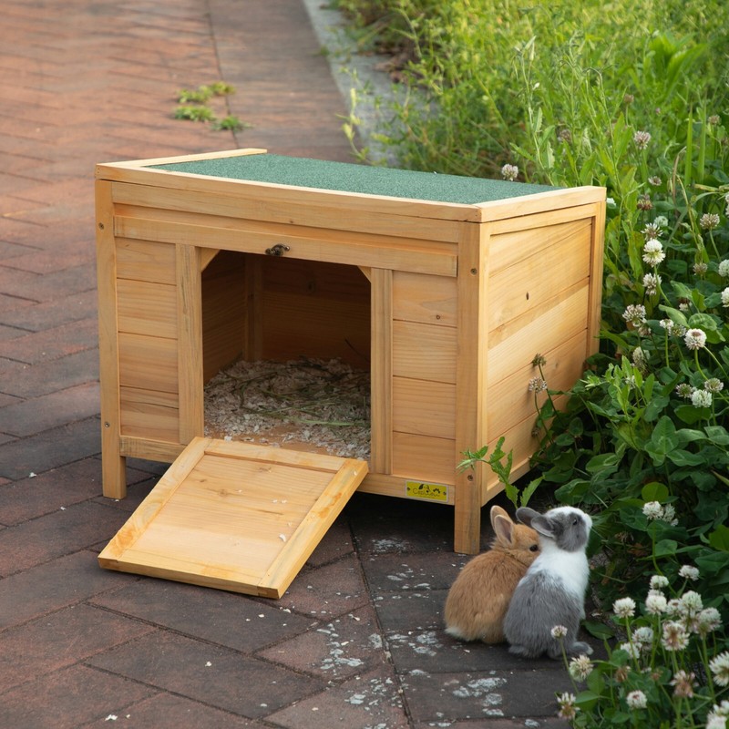 Chicken Coop 24" Backyard Wooden Rabbit Hutch Small Animal House