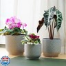4 + 5 + 6 Inch Ceramic Pots for Indoor Plants, Succulents Plant Pots, Orchid Flower Pot with Drainage Hole, Modern Clay Stoneware Planters, Set of 3 (Reactive Glaze Grey Blue, 4 + 5 + 6 Inch