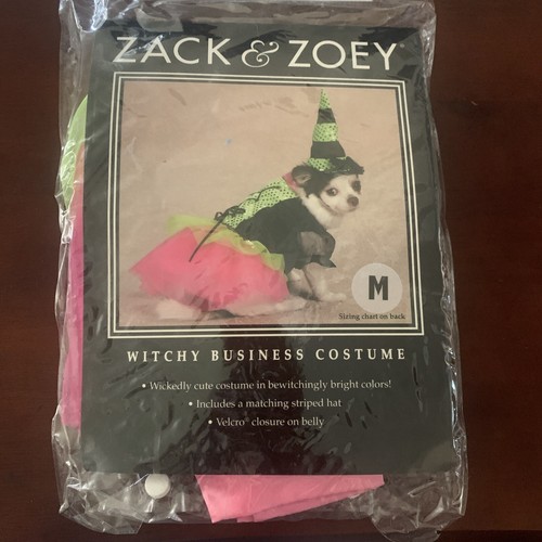 Zack & Zoey Witchy Business Halloween Dog Costume XS-XL | eBay