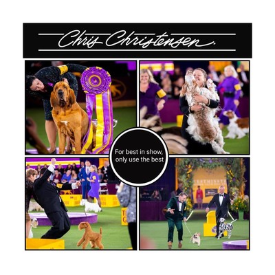 Chris Christensen Detangle and Finishing Spray + Dog Brush Bundle: Ice on Ice...