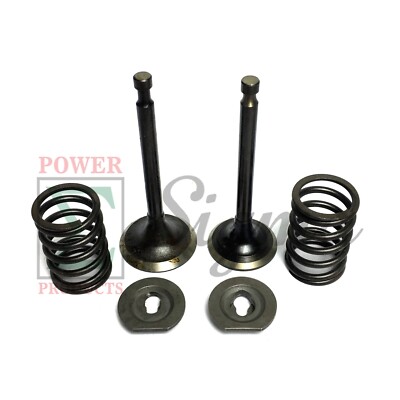 Intake Exhaust Valve Spring For Chicago Electric Rato Jiangdong 346CC 420CC