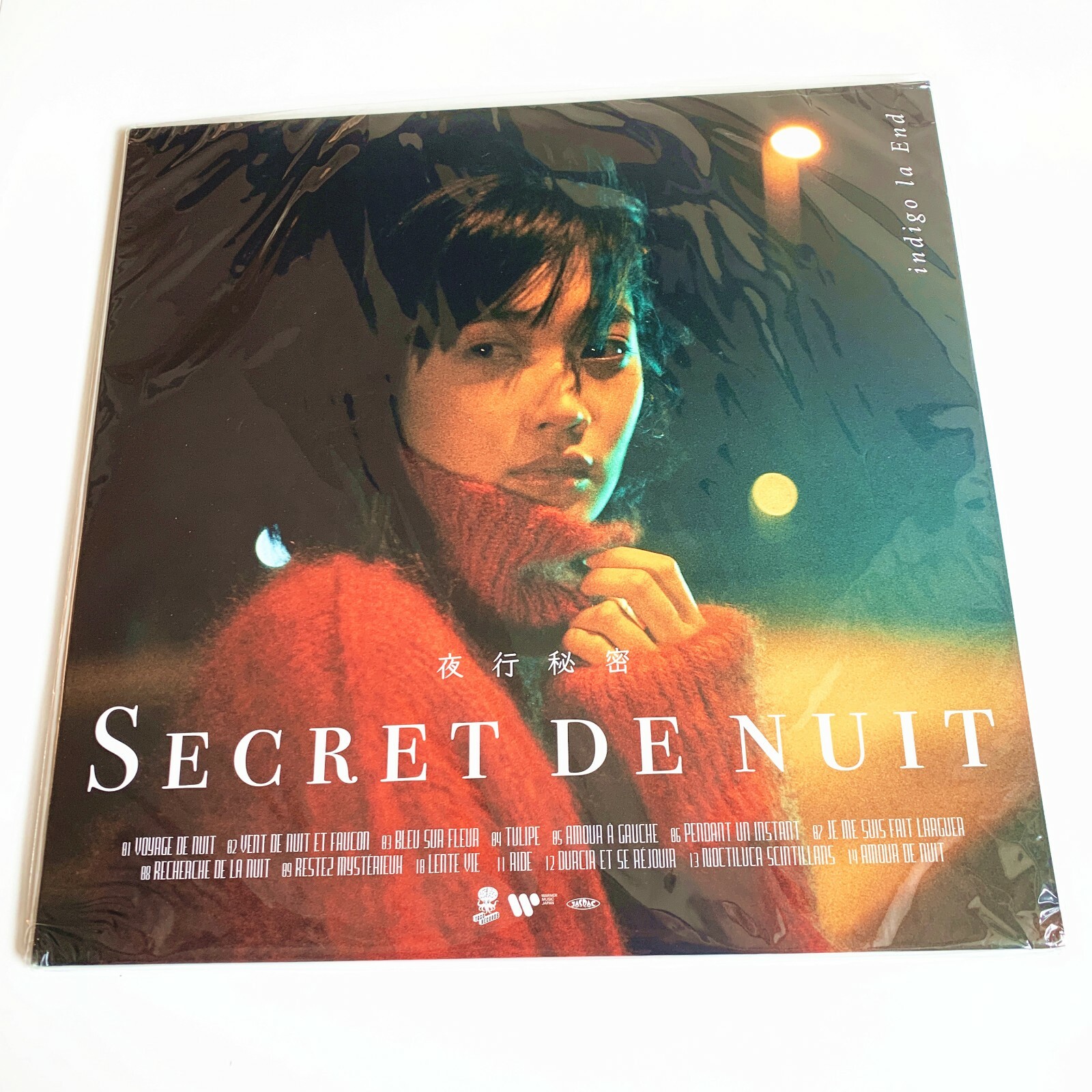 夜行秘密 indigo la End 【アナログ盤】 indigo la End 夜行秘密 レコード
