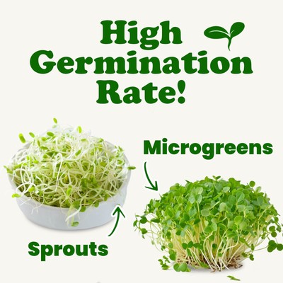 Organic Clover Sprouting Seeds – Non-GMO, Kosher, Vegan, Raw – by Food to Live