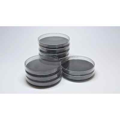10x Pre-poured Activated Carbon Charcoal Agar Petri Dishes 90mm MEA, MEYA, PDA