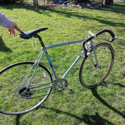 Raleigh Retro Racer
