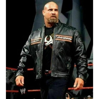 Vintage Harley Davidson HD Goldberg Motorcycle Retro Biker Leather Jacket
