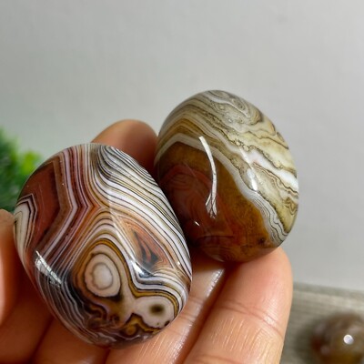 2pc rare Natural Gobi silk wrapped agate Madagascar beautiful to watch 69g c323