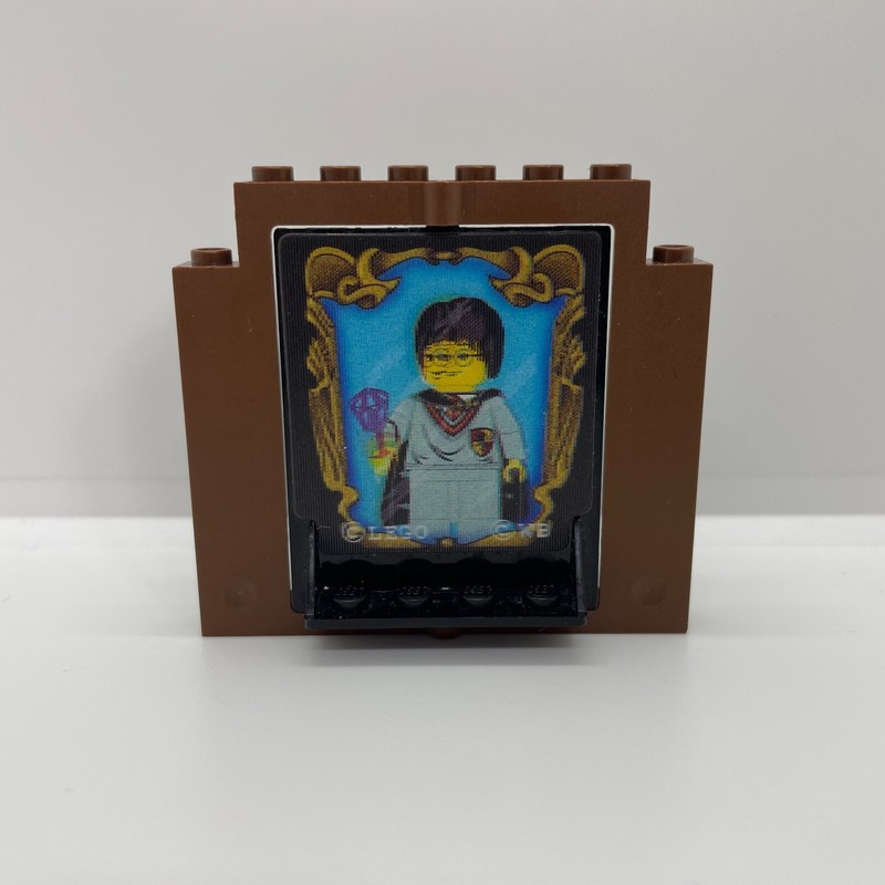LegoÂ® | 40249px1 + 40253 | Holographic Door W/ Brown Frame From Set No. 4702
