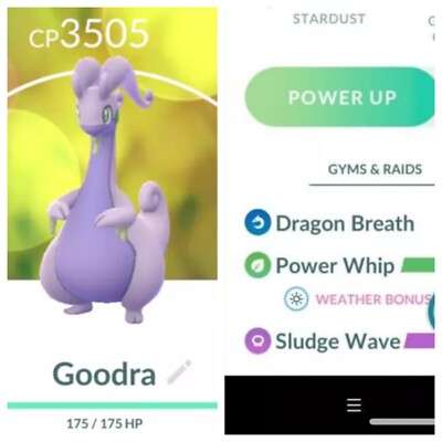 Goodra Pokemon Trade Go Lv45 Unlocked 2 Charge,Pokémon Go Master Pvp