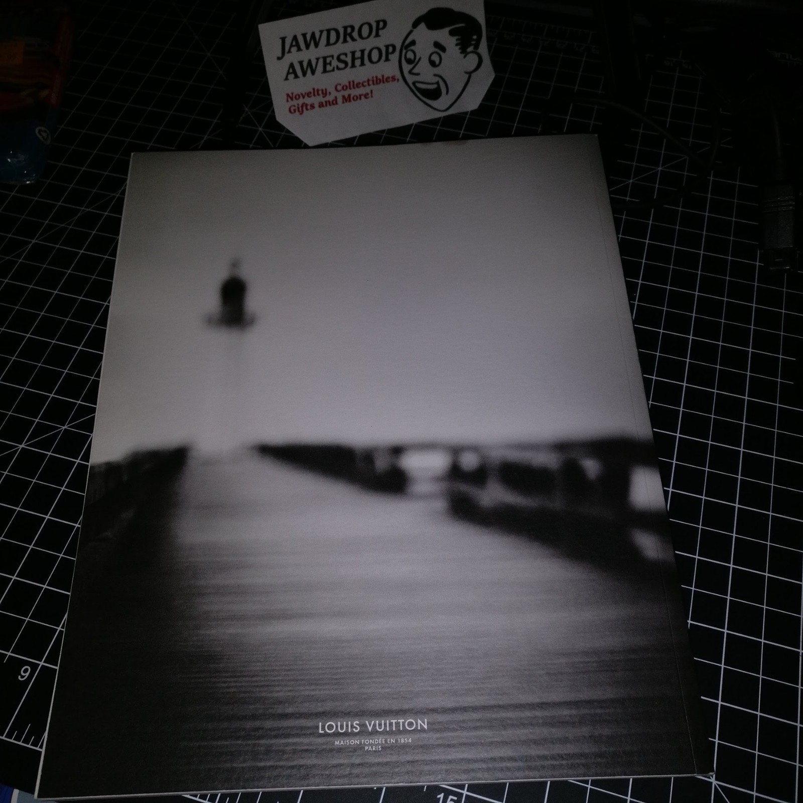 Histoire(s) Louis Vuitton 2012 Magazine Catalog Authentic LV w/ Customer Letter!