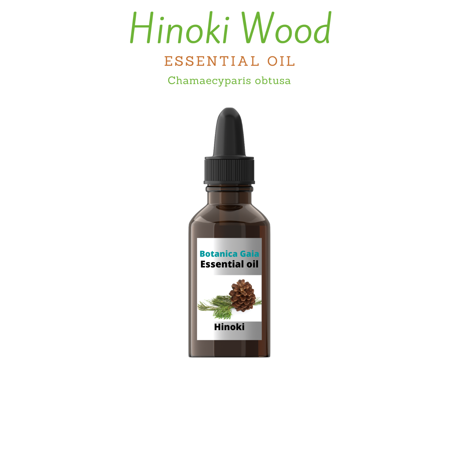 Hinoki Wood Essential Oil 100% Pure, Undiluted, Organic, (Chamaecyparis obtusa).