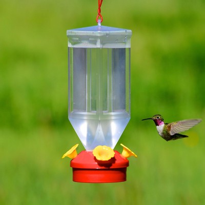 Lantern Hummingbird Feeder, 18 oz.