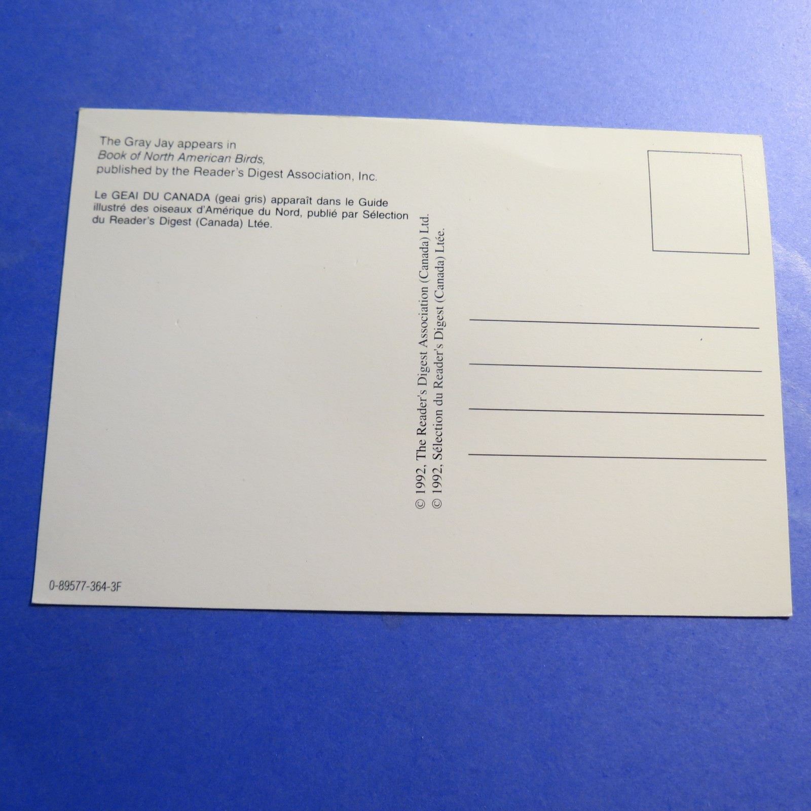 North American Birds The Gray Jay Vintage Old Postcard PC4199