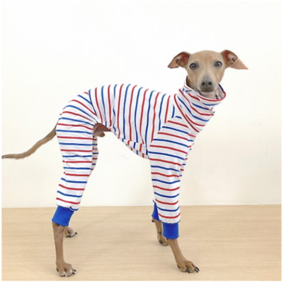 Italian greyhound puppy clothes cheap