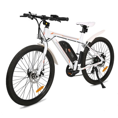 ecobike elegance 36 battery