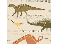 YK20 BABY DINOSAUR Peekaboo Wallpaper Border York Borders SURE STRIP