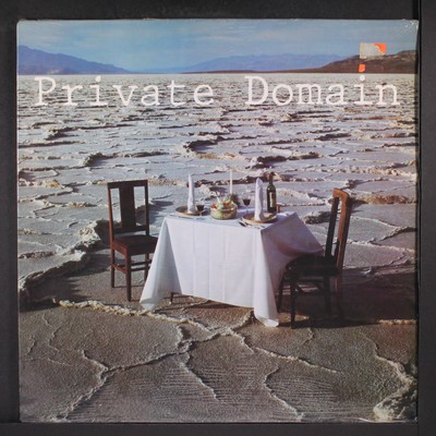 PRIVATE DOMAIN: private domain CHAMELEON 12'' LP 33 RPM Sealed