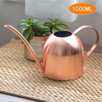 1000ml Edelstahl Gießkanne Indoor Outdoor Houseplants Lange Mund Pflanze Bonsai