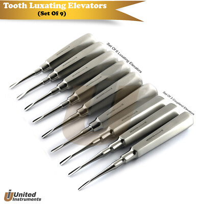 Dental Coupland Elevators Luxating Tooth Loosening Root Extraction Veterinary 