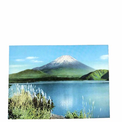 Postcard Japan c.1950s The Tea-field At Nippon Daira Japan
