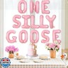 Wonmelody Goose First Birthday Decorations for Girl Pink One Silly Goose Balloon Banner Silly Geese Birthday Decor Farm Animal First Anniversary Decorations Duck Bday Funny Geese Party