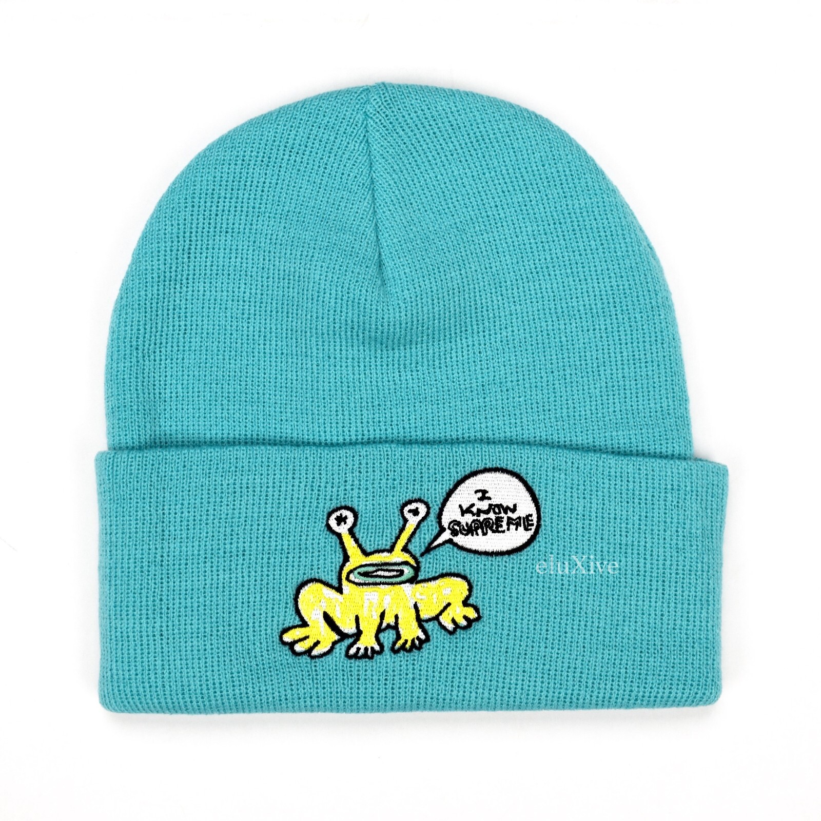 NWT Supreme Daniel Johnston Frog Logo Beanie Hat Teal Men's