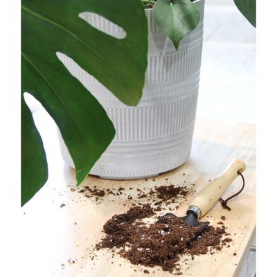 Monstera Houseplant Potting Soil Mix, Custom Blend for Growing and Repotting