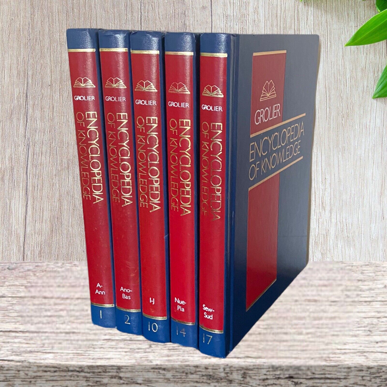 Grolier Encyclopedia of Knowledge Vols. 1, 2, 10, 14, 17