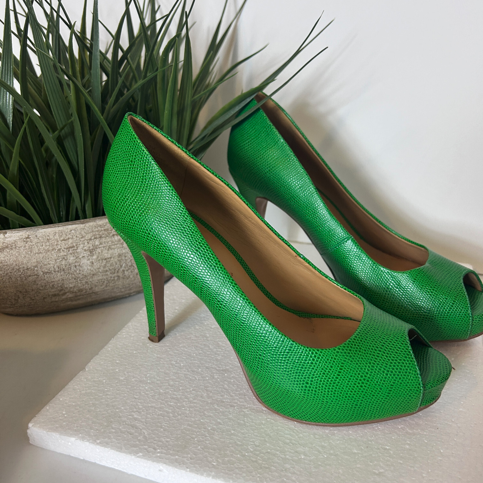 靴 pointed-CURLS / GREEN & LIGHT GREEN pointed-CURLS / GREEN & LIGHT GREEN 靴