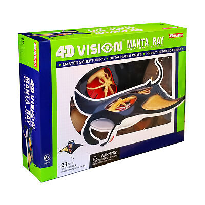 New - 4D Master 4D Vision Manta Ray Anatomy Model - Ages 8+ | 1 player