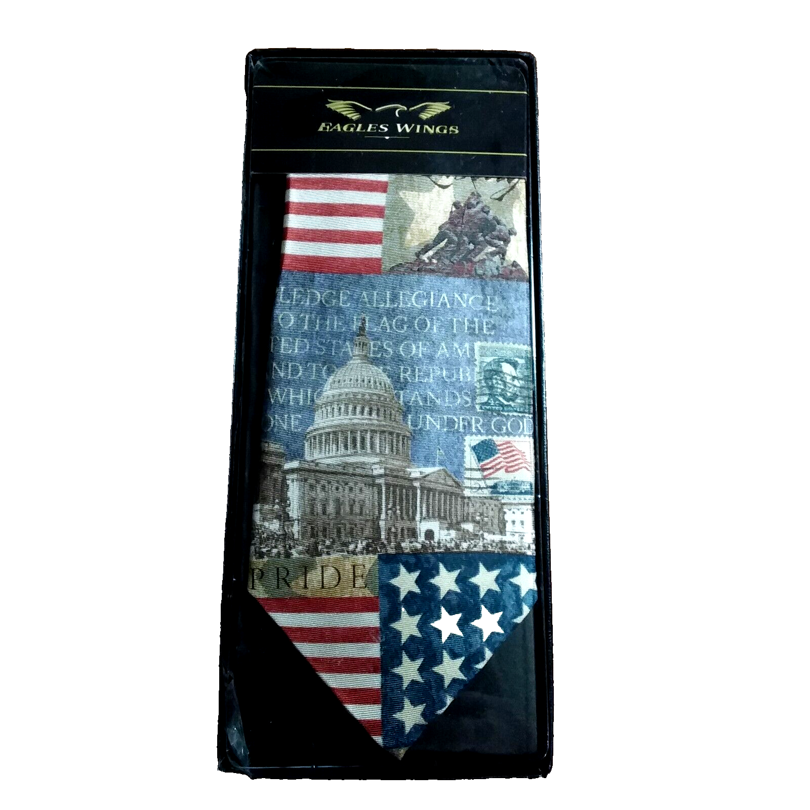 Eagles Wings Inspirational Silk Neckwear Tie In God We Trust