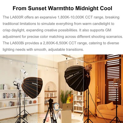 Product Description